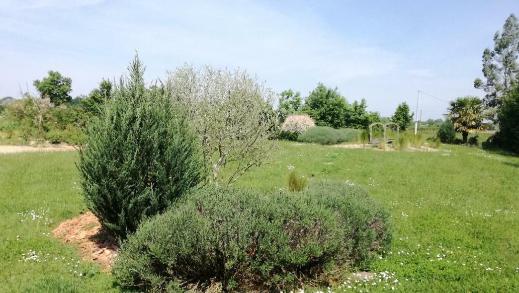 Le Grand Paradis Morannes sur Sarthe-Daumeray Exterior photo